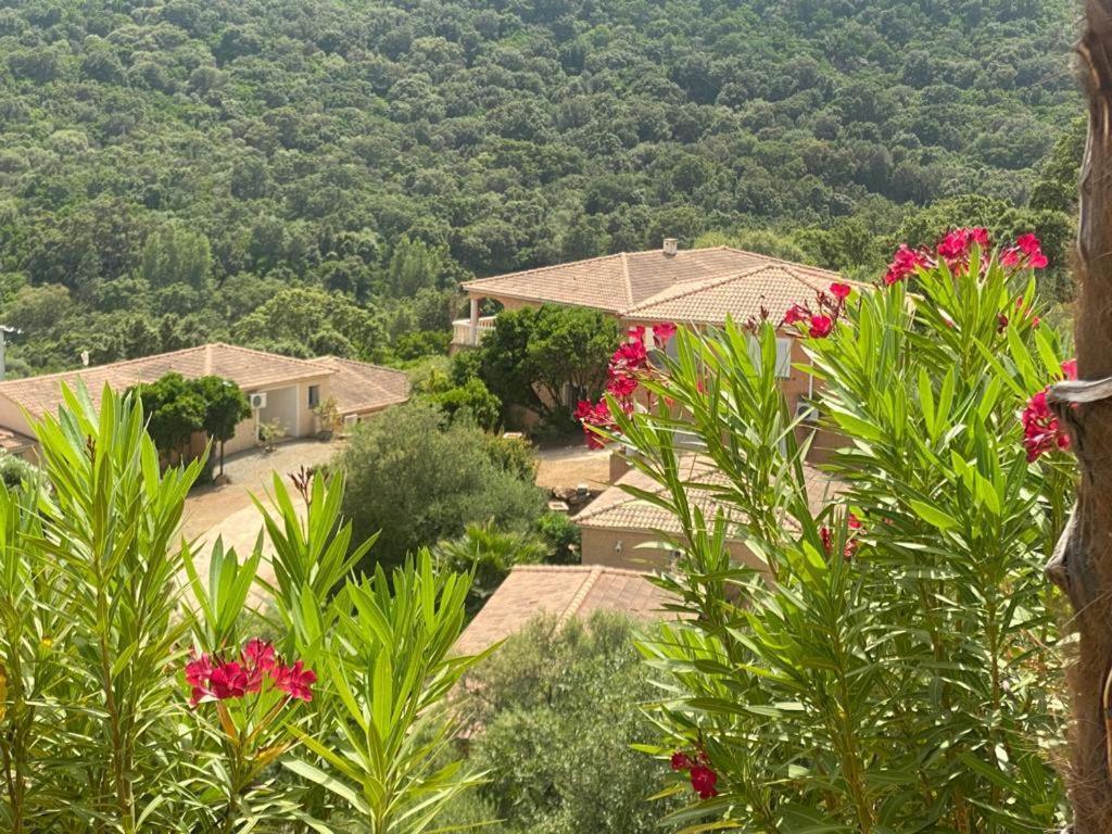 Via Mare Ξενοδοχείο Sainte-Lucie de Porto-Vecchio Εξωτερικό φωτογραφία